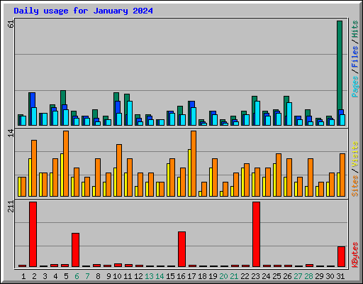 Daily usage for January 2024