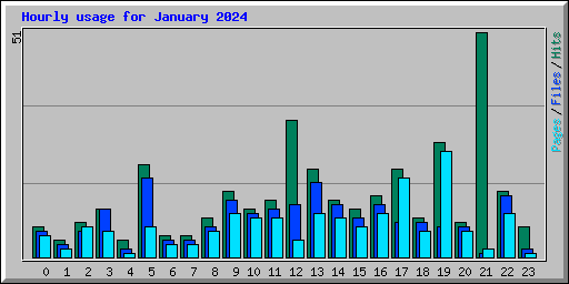 Hourly usage for January 2024